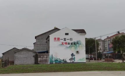 宜阳县新农村墙绘